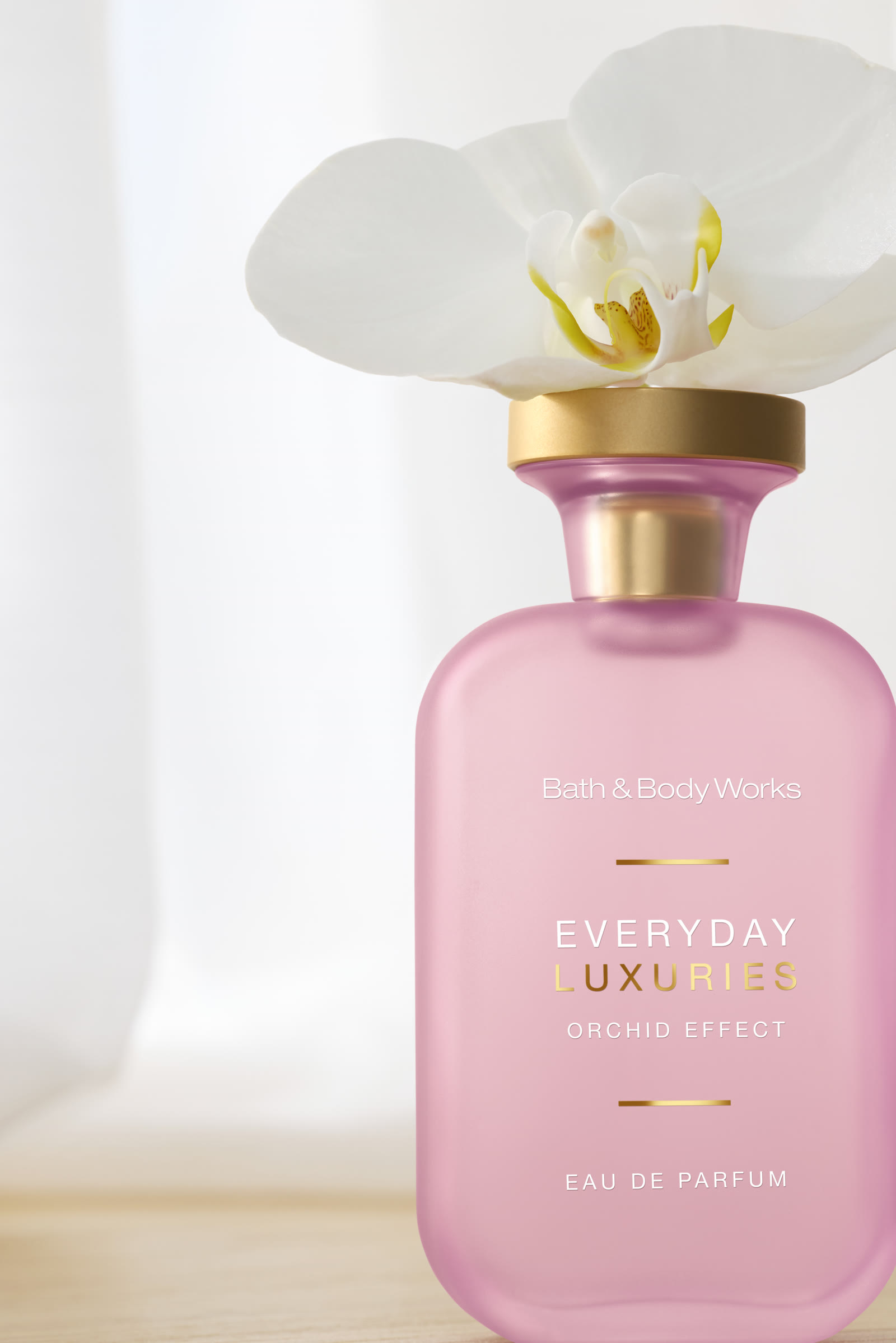Bath & Body Works — Find That Feeling, photograph 4 of 23